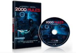 2000 Mules movie