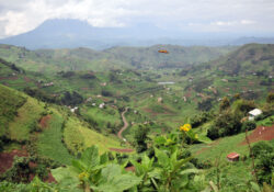 Uganda