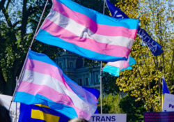 Transgender flag