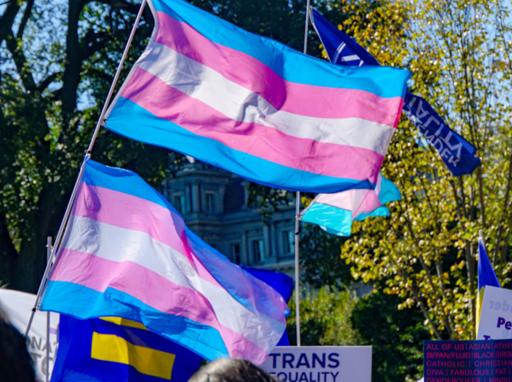 Transgender flag