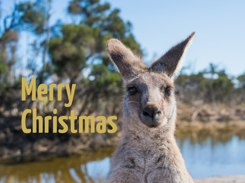 Kangaroo Christmas