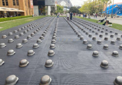 Ai Wei Wei Mushrooms